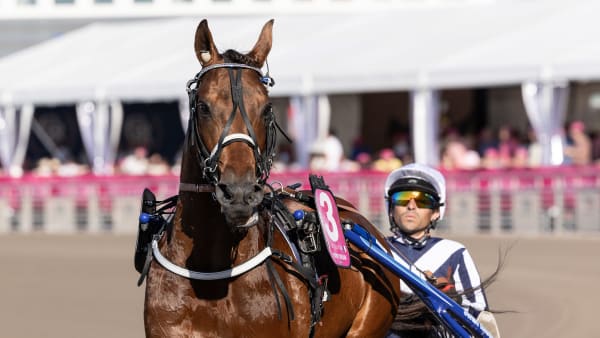 Foto: LENA EMMOTH / TR BILD
