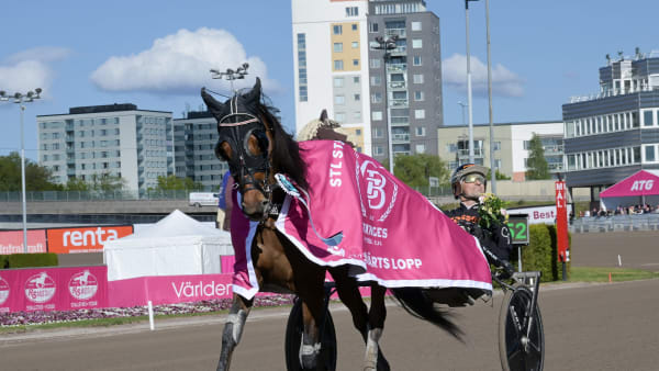 Foto: LARS JAKOBSSON / TR BILD