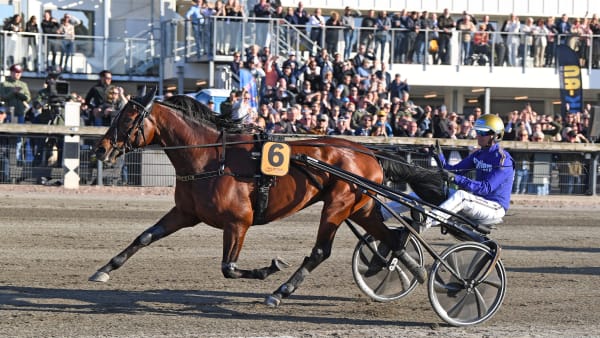 Foto: MALIN ALBINSSON / TR BILD