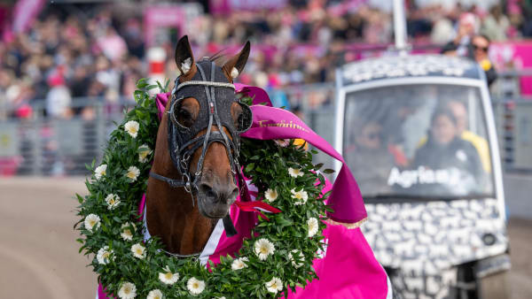 Foto: THOMAS BLOMQVIST / TR BILD