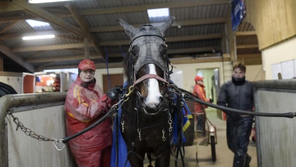 Foto: LARS JAKOBSSON / TR BILD