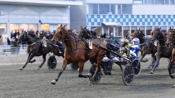 Foto: LENA EMMOTH / TR BILD