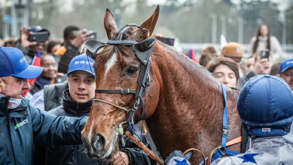 Foto: BRUNO VANDEVELDE/LE TROT