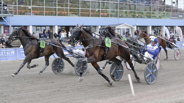 Foto: LARS JAKOBSSON / TR BILD