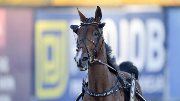 Foto: LARS JAKOBSSON / TR BILD