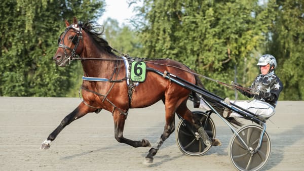 Foto: LENA EMMOTH / TR BILD