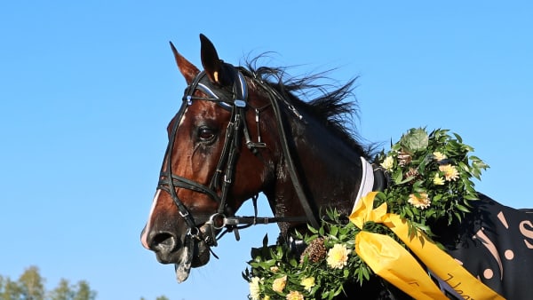 Foto: MARIA HOLMÉN / TR BILD