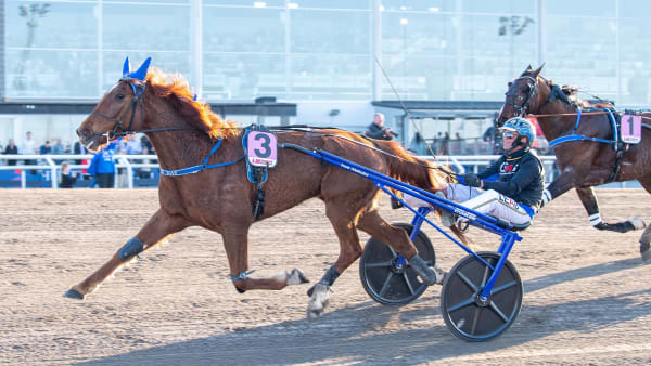 Foto: MIKAEL ROSENQUIST / TR BILD