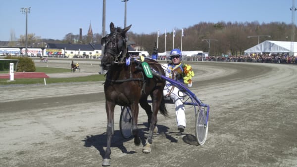 Foto: CLAES KÄRRSTRAND/TR BILD