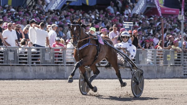 Foto: LENA EMMOTH / TR BILD