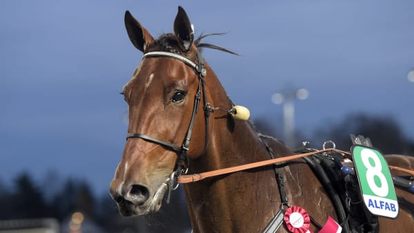 Foto: LARS JAKOBSSON / TR BILD