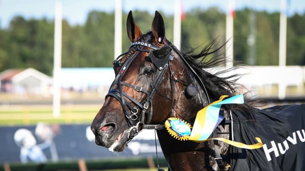 Foto: MALIN ALBINSSON / TR BILD