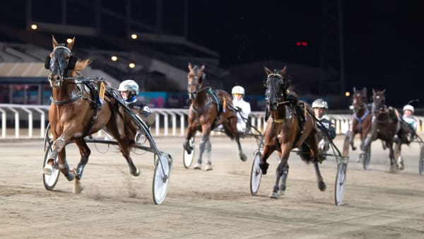 Foto: MIKAEL ROSENQUIST / TR BILD