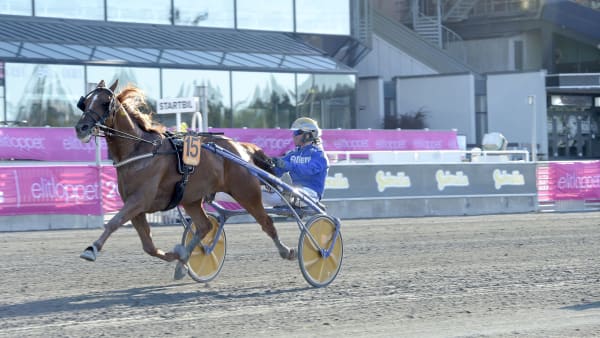 Foto: LARS JAKOBSSON / TR BILD