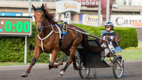 Foto: LENA EMMOTH / TR BILD