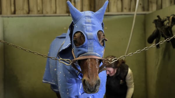 Foto: LARS JAKOBSSON / TR BILD