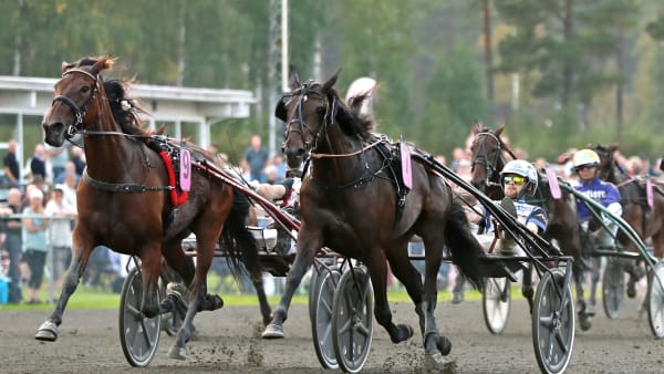 Foto: MARIA HOLMÉN / TR BILD