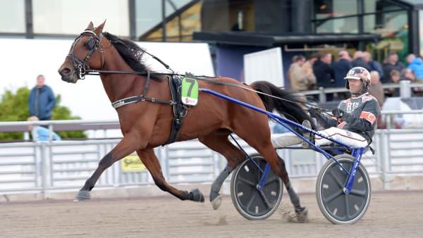 Foto: LARS JAKOBSSON / TR BILD