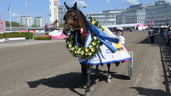 Foto: LARS JAKOBSSON / TR BILD