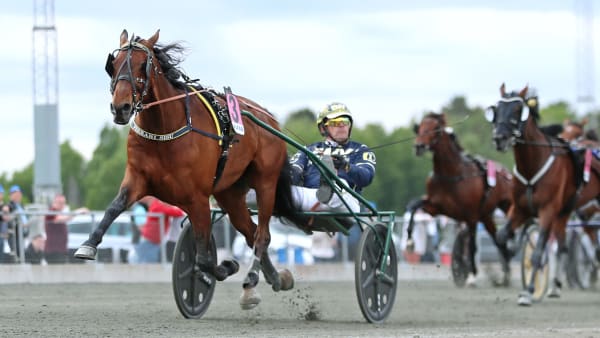 Foto: MARIA HOLMÉN / TR BILD