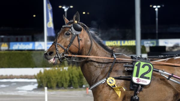 Foto: LARS JAKOBSSON / TR BILD