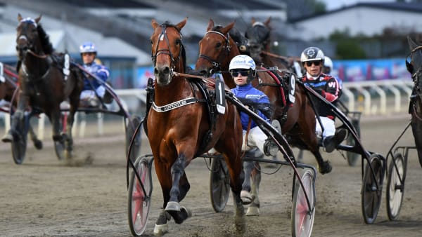 Foto: MALIN ALBINSSON / TR BILD