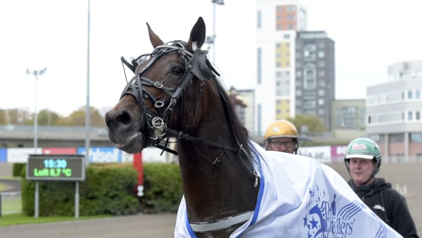 Foto: LARS JAKOBSSON / TR BILD