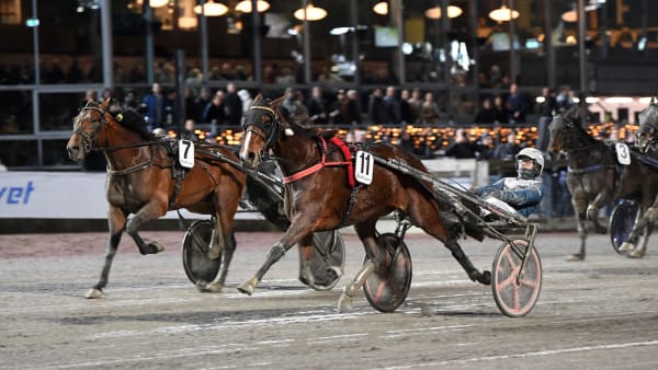 Foto: MALIN ALBINSSON / TR BILD