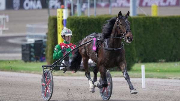 Foto: TR BILD