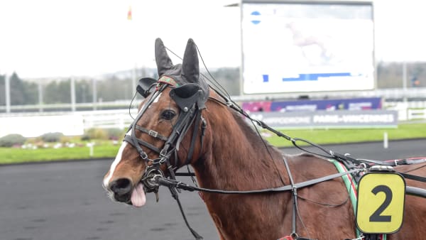 Foto: LARS JAKOBSSON / TR BILD