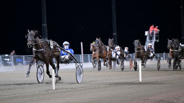 Foto: LARS JAKOBSSON / TR BILD