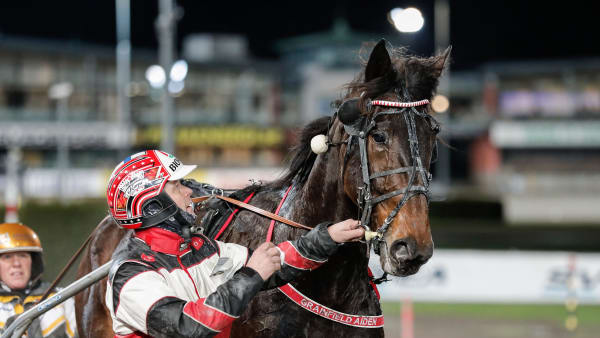 Foto: LENA EMMOTH / TR BILD