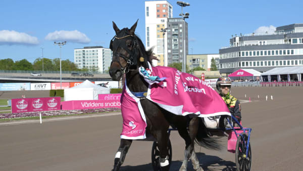 Foto: LARS JAKOBSSON / TR BILD