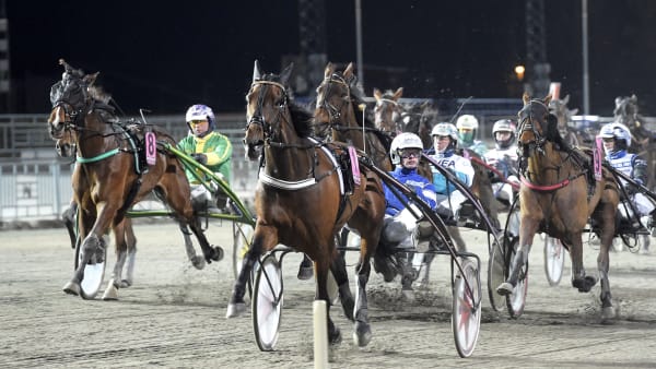 Foto: LARS JAKOBSSON / TR BILD