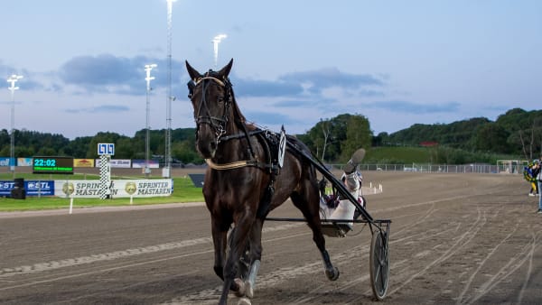 Foto: MIKAEL ROSENQUIST / TR BILD