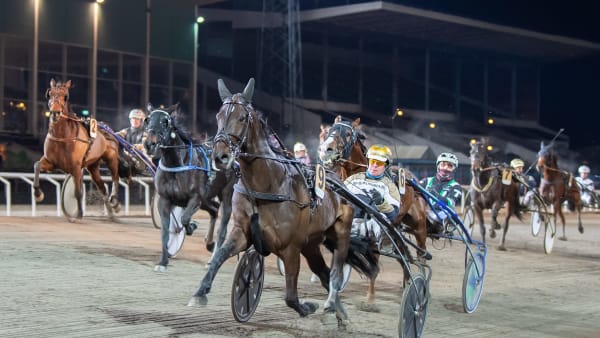 Foto: MIKAEL ROSENQUIST / TR BILD