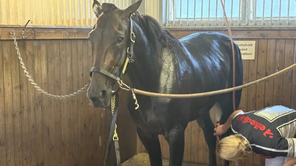 Foto: Emil Persson/TR Bild.