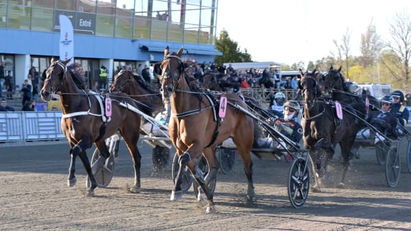 Foto: LARS JAKOBSSON / TR BILD
