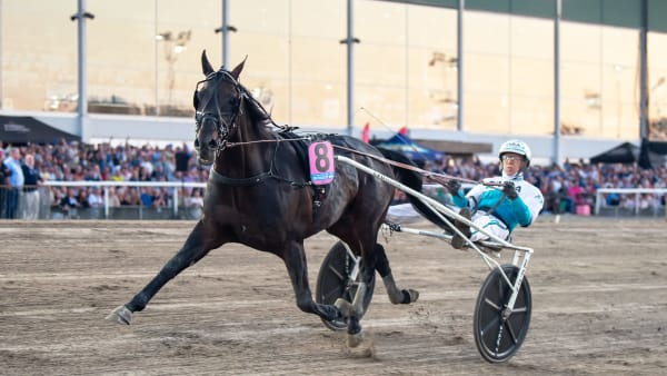 Foto: MIKAEL ROSENQUIST / TR BILD