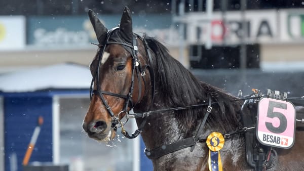 Foto: LARS JAKOBSSON / TR BILD