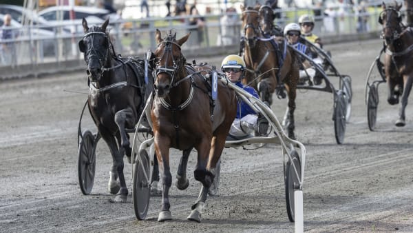 Foto: LENA EMMOTH / TR BILD