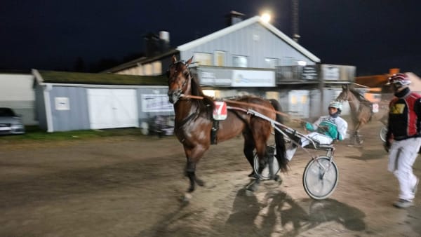 Foto: Lucas Ericsson/TR Bild.