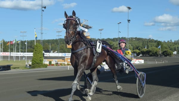Foto: LARS JAKOBSSON / TR BILD