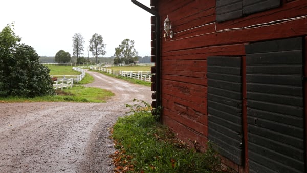 Foto: MARIA HOLMÉN / TR BILD