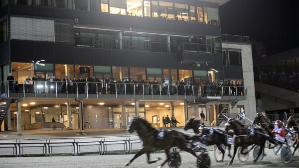 Foto: ANDERS KONGSRUD/HESTEGUIDEN