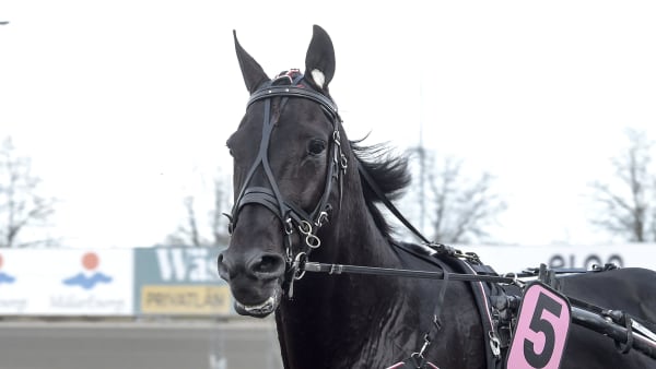 Foto: LARS JAKOBSSON / TR BILD