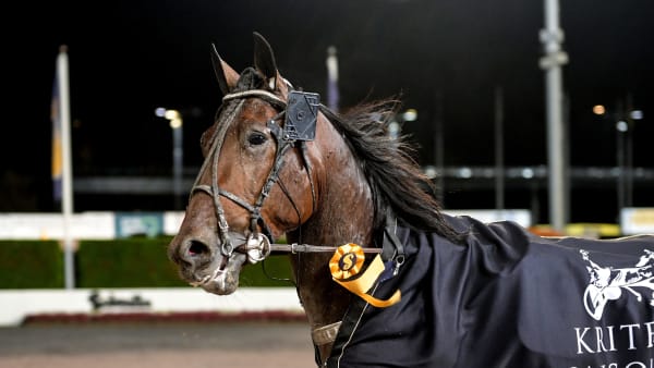 Foto: LARS JAKOBSSON/TR BILD