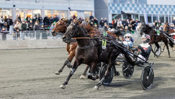 Foto: LENA EMMOTH / TR BILD