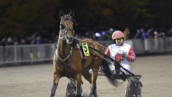 Foto: LARS JAKOBSSON / TR BILD