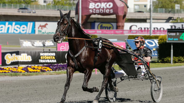 Foto: LENA EMMOTH / TR BILD